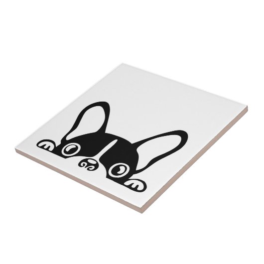 盗フランスのみ タイル (側面)