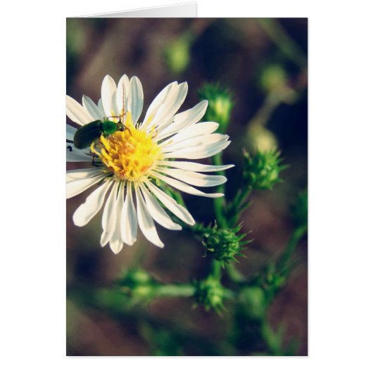 盗聴された (正面)