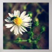 盗聴された ポスター (正面)