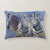 盗聴器 アクセントクッション (正面)