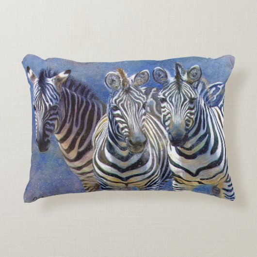 盗聴器 アクセントクッション (正面)