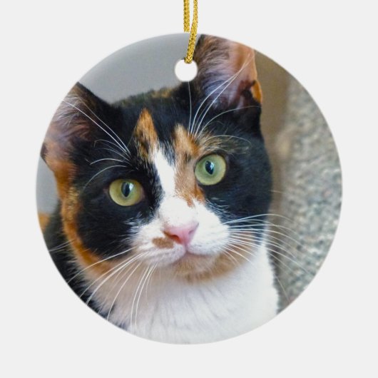 盗賊 セラミックオーナメント (正面)