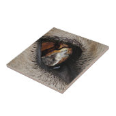 監視人のタイルかTrivet タイル (側面)