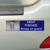 監視常にで バンパーステッカー (車上)