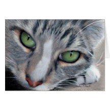 監視虎猫の図面カード