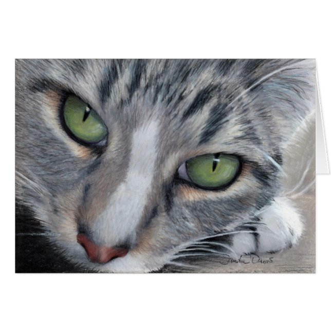 監視虎猫の図面カード (正面横)