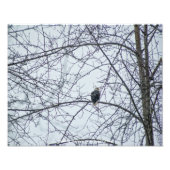 監視 フォトプリント (正面)