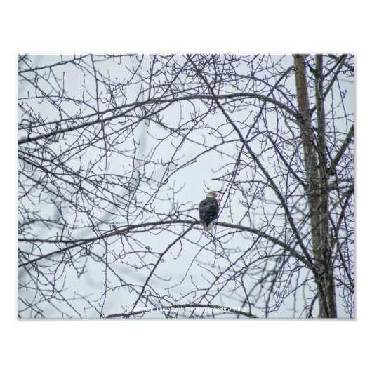 監視 フォトプリント            (正面)