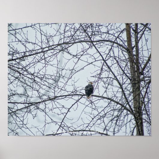 監視 ポスター (正面)