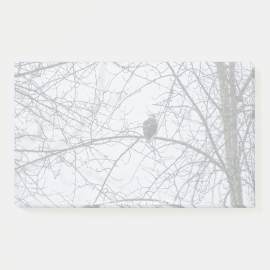 監視 ポストイット (正面)