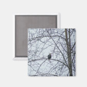 監視 マグネット (正面/裏面)