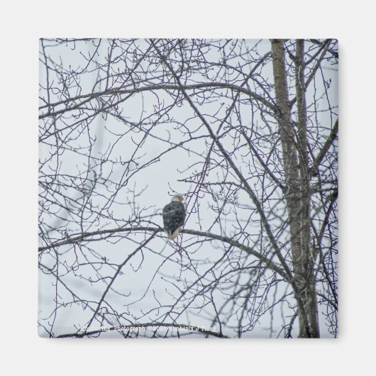 監視 マグネット (正面)