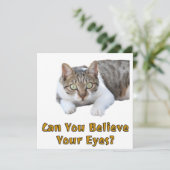 目が信じ可愛い猫芸術 カード (スタンド正面)