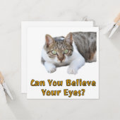 目が信じ可愛い猫芸術 カード (正面/裏面インサイチュ)