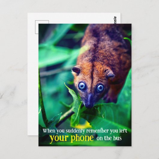 目が大きいポッサム ポストカード (正面/裏面)