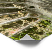 目が得見える！ ポスター (角)