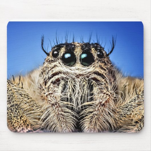 目が得見える！ マウスパッド (正面)