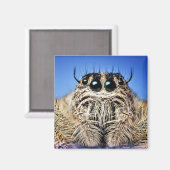 目が得見える！ マグネット (正面/裏面)