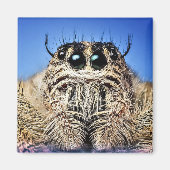 目が得見える！ マグネット (正面)