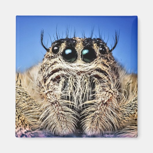 目が得見える！ マグネット (正面)