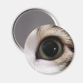 「目が持っている」猫の目の磁石#2 マグネット (正面/裏面)