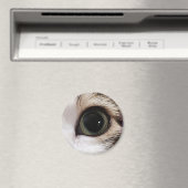 「目が持っている」猫の目の磁石#2 マグネット (インサイチュ (食洗機))