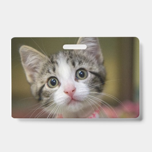 目が緑の可愛い子猫 バッジ (正面)