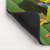 目が赤いアマガエルのマウスパッド マウスパッド (コーナー)