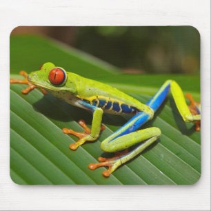 目が赤いアマガエルのマウスパッド マウスパッド