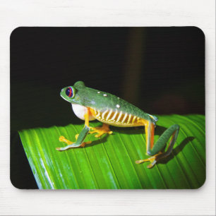目が赤いアマガエルの写真撮影のマウスパッド マウスパッド