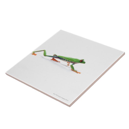 目が赤いアマガエルの歩く タイル (側面)