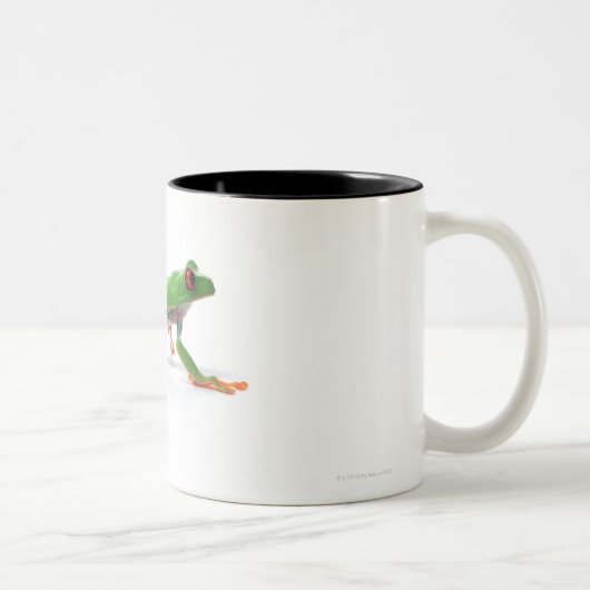 目が赤いアマガエルの歩く ツートーンマグカップ (右)