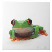 目が赤いアマガエル2 タイル (正面)