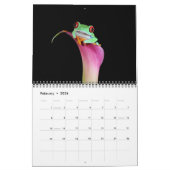 目が赤いアマガエル、カエル2011のカレンダー カレンダー (2月 2026)