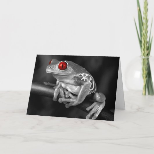 目が赤いアマガエル カード (正面)