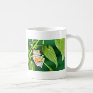 目が赤いアマガエル コーヒーマグカップ