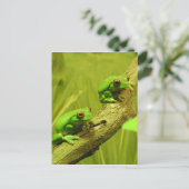 目が赤いアマガエル シーズンポストカード (スタンド正面)