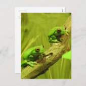 目が赤いアマガエル シーズンポストカード (正面/裏面)