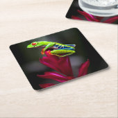 目が赤いアマガエル スクエアペーパーコースター (アングル)