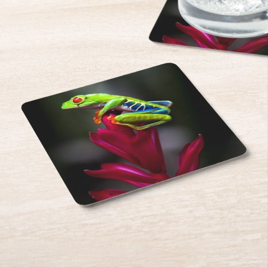 目が赤いアマガエル スクエアペーパーコースター (アングル)