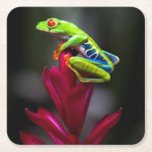 目が赤いアマガエル スクエアペーパーコースター (正面)