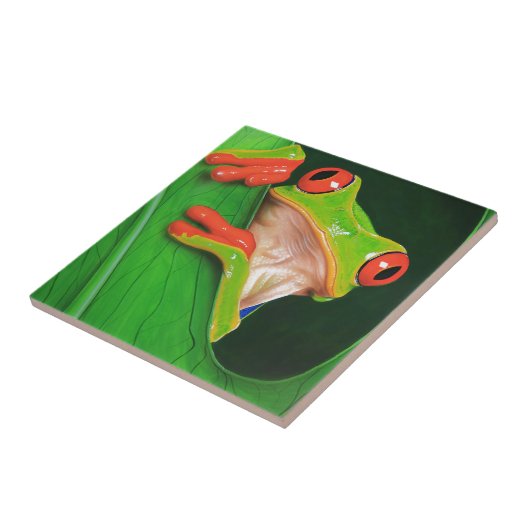 目が赤いアマガエル タイル (側面)