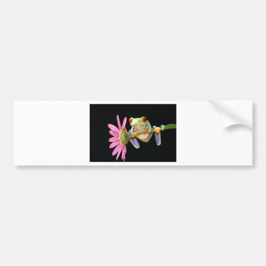 目が赤いアマガエル バンパーステッカー (正面)