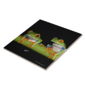 目が赤いアマガエル(Agalychnisのcallidryas) タイル (側面)