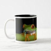 目が赤いアマガエル(Agalychnisのcallidryas) ツートーンマグカップ (左)
