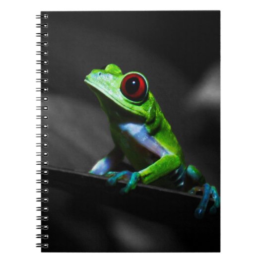 目が赤いアマガエルIII ノートブック (正面)