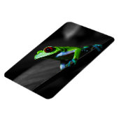 目が赤いアマガエルIII マグネット (左側)