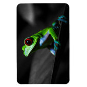 目が赤いアマガエルIII マグネット (縦)