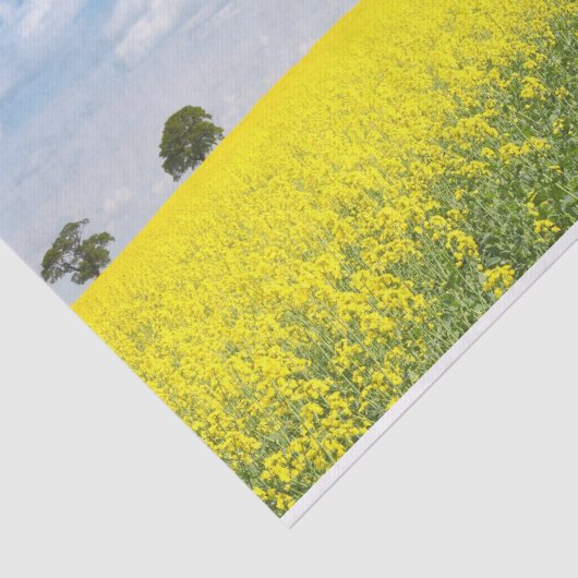 目が農場を見ることができる黄色の花畑 薄葉紙 (詳細)