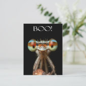 目つきの鋭いトンボ ポストカード (スタンド正面)